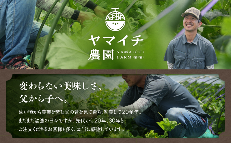 ãäžæµŠèŸ²å®¶çŽéãå°çã¹ã€ã«ïŒ4åå
¥ãïŒãM003-001