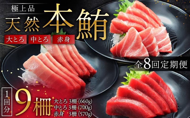【全8回定期便】極上品天然本鮪大とろ3柵・中とろ3柵・赤身3柵　M007-T04