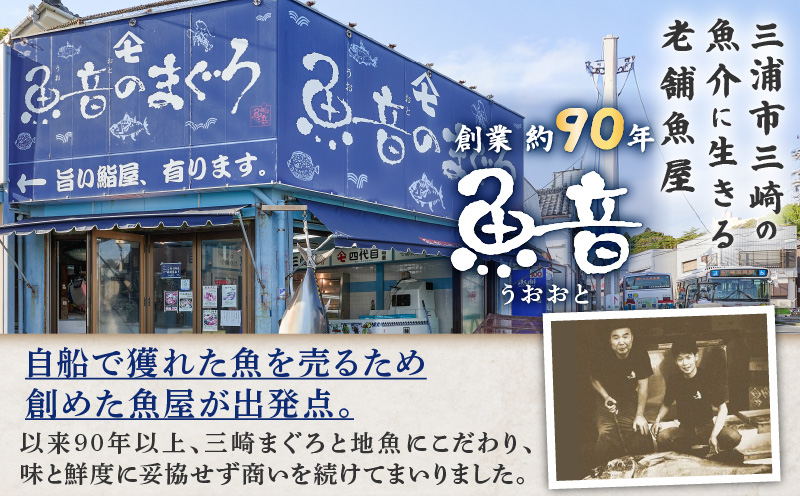 三崎魚音の味堪能セット　M006-020