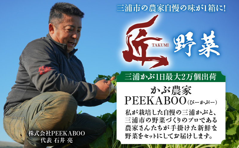 三浦の匠野菜　M127-001