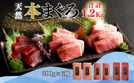 B71-002 【みんなの心彩る】天然本まぐろ 1.2kg(大トロ400ｇ、中トロ400ｇ, 赤身400ｇ)