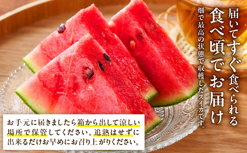 マダーボールスイカ　M001-002