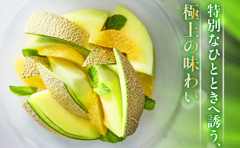 贈答用メロン　M001-001