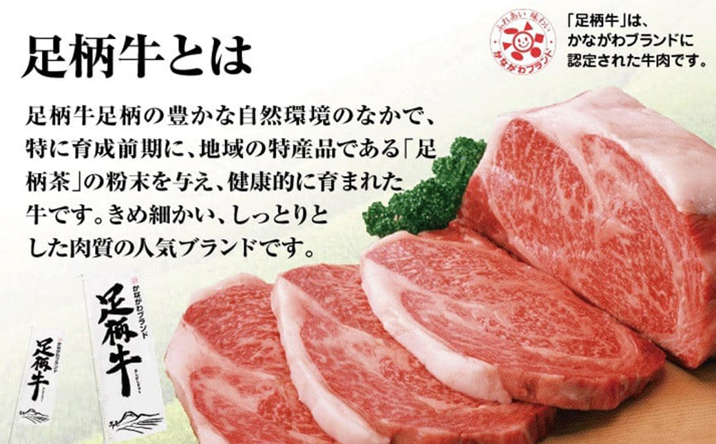 足柄牛プレミアムハンバーグ150g　8個入 / 牛100％ 国産 牛肉 足柄牛 国産牛 