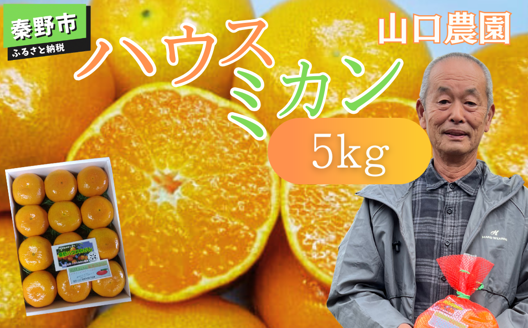 先行予約！７月以降順次発送 甘いハウスみかん（5㎏) 山口農園