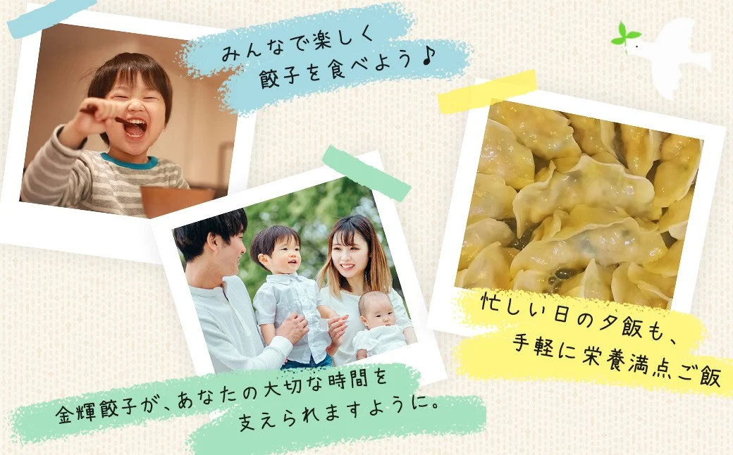 【金輝餃子】3種類食べ比べセット（各25個×3袋、全75個）｜餃子 冷凍 ぎょうざ ギョウザ ギョーザ しょうが ニンニク お取り寄せ 食べ比べ 大容量 セット 水餃子 手作り 焼き餃子 国産野菜 国産豚肉 おかず お弁当 焼くだけ こだわり 冷凍餃子 冷凍ぎょうざ 野菜たっぷり はだの餃子 中華 秦野産 神奈川県産