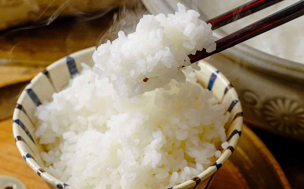 秦野のお米「さとじまん」10kg | 神奈川県産 秦野市 大地 10kg 10キロ 米 こめ コメ お米 白米 精米 お取り寄せ 贈答 人気 ランキング ごはん ご飯 贈り物 10キロ 風味 甘い 甘み ブランド米 人気米 1袋 ちょうどいい おいしい 美味しい 美味 ふっくら ツヤ 備蓄 災害対策 | 015-16