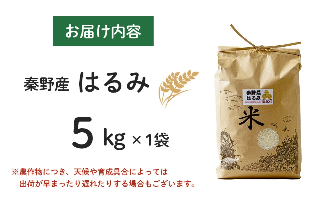 秦野のお米「はるみ」5kg| 神奈川県産 秦野市 大地 5kg 5キロ 米 こめ コメ お米 白米 精米 お取り寄せ 贈答 人気 ランキング ごはん ご飯 贈り物 5キロ 風味 甘い 甘み ブランド米 人気米 1袋 ちょうどいい おいしい 美味しい 美味 ふっくら ツヤ 備蓄 災害対策 | 009-13