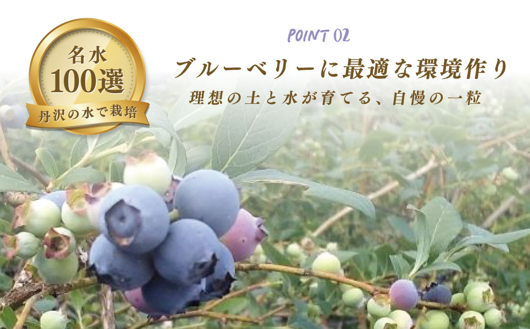 011-21ブルーベリーコンフィチュール（ジャム）300ｇ×3個｜手作り 砂糖のみ パン スコーン ヨーグルト 農園 秦野 神奈川