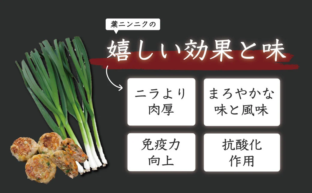 009-52葉にんにくバーグ / 1袋9個入×4セット 　国産 秦野産 豚肉 ニンニクの葉 にんにく 冷凍 焼くだけ 簡単調理 弁当 おかず 一品 おつまみ 家族 シューマイの皮 晩酌