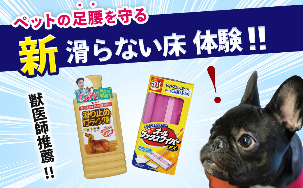 【ペット用】簡単！滑り止め床用コーティング剤セット（500ml＋オールワックスワイパーEX） |リンレイ 掃除 ワックス プロ 専用 ワイパー フローリング 耐久 おそうじ 万能 ツヤ コーティング 滑り 止め 犬 子ども 抗菌効果 業務用 年末 大掃除 汚れ よごれ キズ 傷 キレイ UV塗装 舐めても安心 お中元 お歳暮 ギフト セット 神奈川 秦野 
