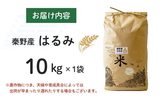 秦野のお米「はるみ」10kg| 神奈川県産 秦野市 大地 10kg 10キロ 米 こめ コメ お米 白米 精米 お取り寄せ 贈答 人気 ランキング ごはん ご飯 贈り物 5キロ 風味 甘い 甘み ブランド米 人気米 1袋 ちょうどいい おいしい 美味しい 美味 ふっくら ツヤ 備蓄 災害対策 | 017-09