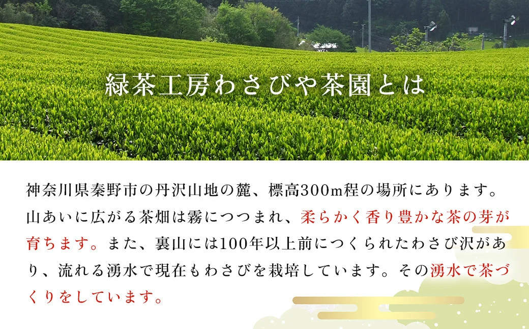 和紅茶！丹沢ゴッド・オブ・マウンテン（ティーバッグ）2g×10個入り　3袋　/　国産紅茶　和紅茶　茶　紅茶　茶葉　丹沢　プレゼント　贈答品 丹沢 ゴッド・オブ・マウンテン 日本茶 フレーバーティー お茶 ティータイム 贈り物 ギフトセット リラックス お土産 母の日　父の日　敬老の日　お祝い　内祝い　お歳暮　お中元　秦野　神奈川　希少　在来種茶葉