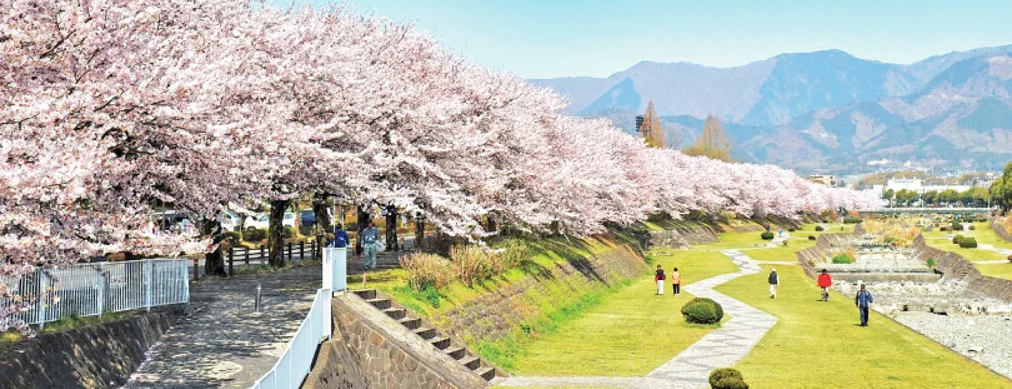 神奈川県秦野市