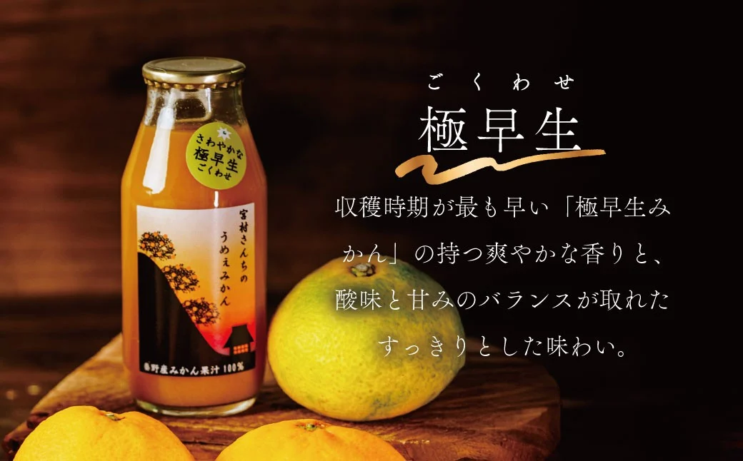 秦野産 みかん 100% ストレート ジュース （10本）／おまかせ 農家 こだわり セット 果物 みかん みかんジュース デザート 果汁100％ 搾りたて 新鮮 美味 おいしい ストレートジュース オレンジジュース フレッシュ 柑橘 旬 ストレート 濃厚 飲みきり サイズ 飲みやすい お子様 健康 ビタミン 神奈川 秦野 / 010-44