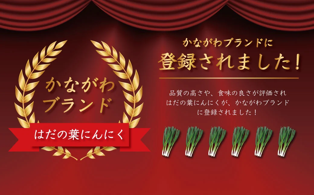 009-52葉にんにくバーグ / 1袋9個入×4セット 　国産 秦野産 豚肉 ニンニクの葉 にんにく 冷凍 焼くだけ 簡単調理 弁当 おかず 一品 おつまみ 家族 シューマイの皮 晩酌