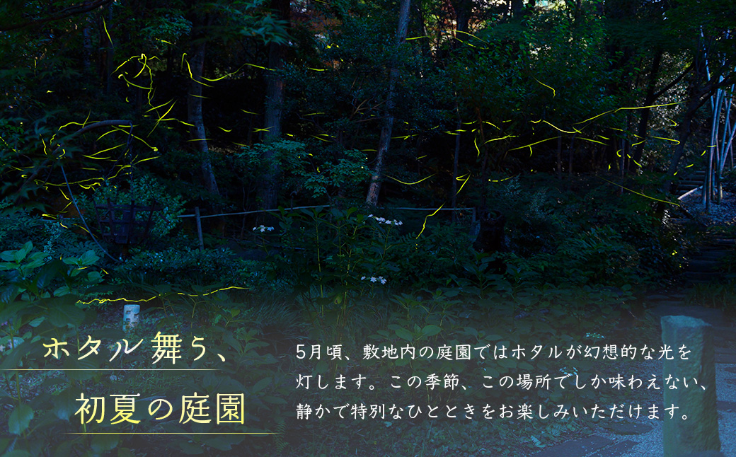 縲仙貉ッ髯」螻九大ョソ豕雁茜逕ィ蛻ク10,000蜀蛻| 蜈貉ッ 髯」螻 蛻ク 蛻ゥ逕ィ蛻ク 繝√こ繝繝 鬮倡エ 貂ゥ豕 螳ソ豕 豁エ蜿イ 莨晉オア 鬚ィ蜻ゆサ 髴イ螟ゥ鬚ィ蜻ゆサ伜ョ「螳、 荳豕贋コ碁」 莨壼クュ 譁咏炊 繝励Ξ繝溘い繝 陬懷勧蛻ク 雍豐「 貂ゥ豕我ス馴ィ 繝励Λ繧、繝吶シ繝 險伜ソオ譌・ 迚ケ蛻・ 雎ェ闖ッ 鄒朱」 繝ゥ繧ー繧ク繝・繧「繝ェ繝シ 縺翫b縺ヲ縺ェ縺 逋偵@ 逾槫・亥キ 遘ヲ驥 |034-17jin