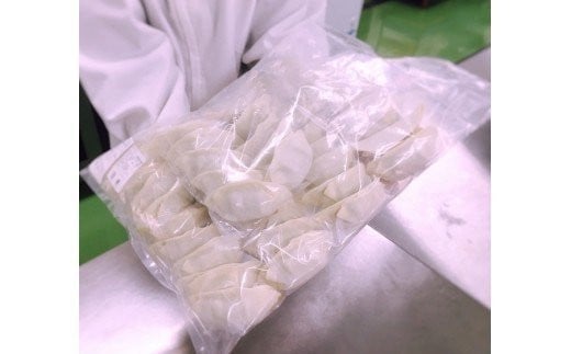 幸せ餃子のボリューム満点こだわり中餃子60個入り / 餃子 ギョウザ 手作り ジャンボ餃子 冷凍 食品 おかず 60個 冷凍 食品 おかず 冷凍 食品 おかず 国産 国産野菜 高座豚 ぎょうざ ギョーザ 餃子 冷凍餃子 焼き餃子 焼餃子 冷凍 冷凍食品 おかず 弁当 惣菜 おつまみ おやつ 時短 便利 焼くだけ お手軽 アレンジ 常備