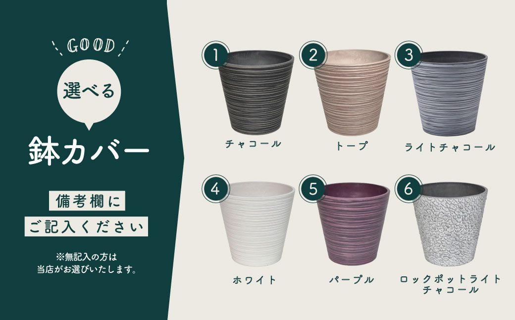 隕ウ闡画、咲黄 繝峨Λ繧サ繝翫さ繝ウ繝代け繧ソ8蜿キシ育エЗ75cmス90cmシ蛾欧繧ォ繝舌シ繧サ繝繝 / 遘ヲ驥 逾槫・亥キ 繧、繝ウ繝繝ェ繧「 繧ェ繧キ繝」繝ャ 螳、蜀 蜊怜嵜諢 驩「迚ゥ 蟶ク邱台ス取惠 鄒弱@縺繝輔か繝ォ繝 繧ョ繝輔ヨ 閧イ縺ヲ繧縺吶>