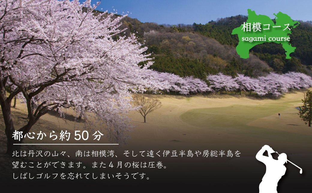 螟ェ蟷ウ豢九け繝ゥ繝也嶌讓。繧ウ繝シ繧ケ縺ョ蛻ゥ逕ィ蛻クシ120,000蜀蛻シ |繧エ繝ォ繝募エ 繧エ繝ォ繝 蛻ゥ逕ィ蛻ク 繧ッ繝シ繝昴Φ 繧ョ繝輔ヨ 繝励Ξ繧シ繝ウ繝 繧エ繝ォ繝募・ス縺 蛻ゥ逕ィ 繝励Ξ繝シ 繧ウ繝シ繧ケ 蛻ゥ逕ィ蛻ク 蛻晏ソ閠 豁楢ソ 繧エ繝ォ繝輔ョ繝薙Η繝シ 雍医j迚ゥ 繧キ繝九い蜷代¢ 騾ア譛ォ繝ャ繧ク繝」繝シ 繧ウ繝ウ繝 繧ー繝ェ繝シ繝ウ繝輔ぅ繝シ 繝励Λ繧、繝吶シ繝 繧ウ繝シ繧ケ蜈螳 閾ェ辟カ 辷ス蠢ォ 隕ェ蟄 逾槫・亥キ 遘ヲ驥