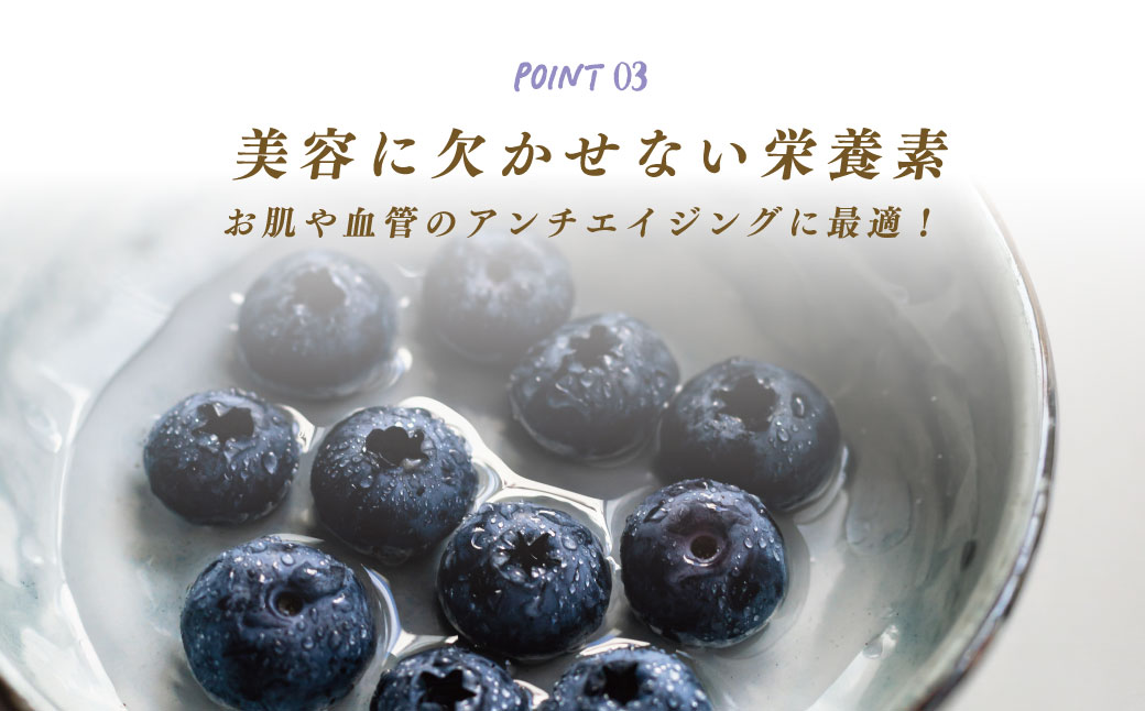 011-21ブルーベリーコンフィチュール（ジャム）300ｇ×3個｜手作り 砂糖のみ パン スコーン ヨーグルト 農園 秦野 神奈川