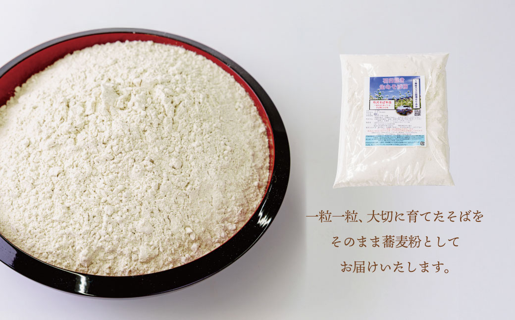 遏ウ閾シ謖ス縺阪◎縺ー邊会シ800gシ会シ剰侮鮗ヲ 縺昴ー 縺昴ー邊 蝗ス逕」 阨朱コヲ螻欺 縺翫≧縺。縺斐ッ繧 隱ソ逅縺繧阪>繧 繧ッ繝繧ュ繝シ 蝗」蟄 繧ス繝千イ 阨朱コヲ邊 縺昴ー 繧ス繝 阨朱コヲ 遏ウ閾シ陬ス邊 鬟溘∋豈斐∋ 鬟溘∋縺上i縺ケ 蜿悶j蟇縺 縺雁叙繧雁ッ縺 雍育ュ 雍医j迚ゥ 繝励Ξ繧シ繝ウ繝 霎イ螳カ逶エ騾 遘ヲ驥主ク