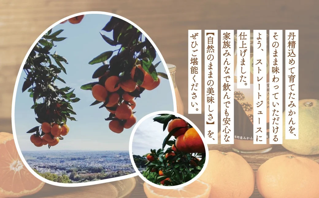 秦野産 みかん 100% ストレート ジュース （6本）／おまかせ 農家 こだわり セット 果物 みかん みかんジュース デザート 果汁100％ 搾りたて 新鮮 美味 おいしい ストレートジュース オレンジジュース フレッシュ 柑橘 旬 ストレート 濃厚 飲みきり サイズ 飲みやすい お子様 健康 ビタミン 神奈川 秦野／ 006-04