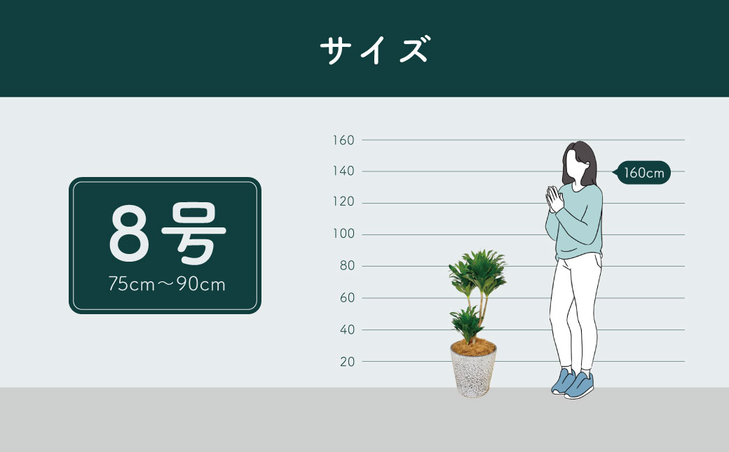 隕ウ闡画、咲黄 繝峨Λ繧サ繝翫さ繝ウ繝代け繧ソ8蜿キシ育エЗ75cmス90cmシ蛾欧繧ォ繝舌シ繧サ繝繝 / 遘ヲ驥 逾槫・亥キ 繧、繝ウ繝繝ェ繧「 繧ェ繧キ繝」繝ャ 螳、蜀 蜊怜嵜諢 驩「迚ゥ 蟶ク邱台ス取惠 鄒弱@縺繝輔か繝ォ繝 繧ョ繝輔ヨ 閧イ縺ヲ繧縺吶>