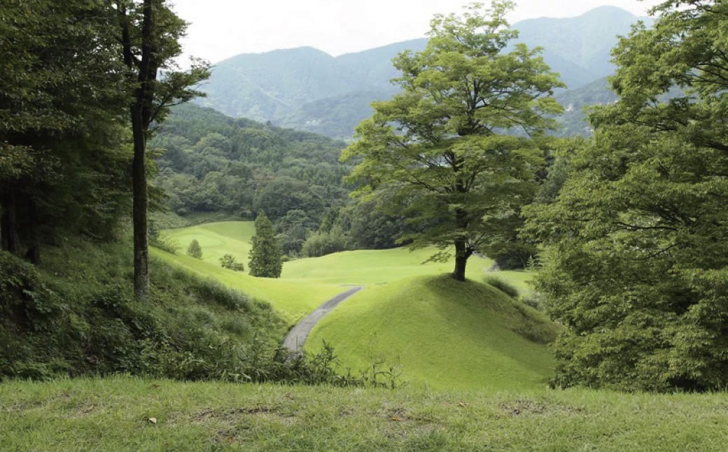 螟ェ蟷ウ豢九け繝ゥ繝也嶌讓。繧ウ繝シ繧ケ縺ョ蛻ゥ逕ィ蛻クシ60,000蜀蛻シ |繧エ繝ォ繝募エ 繧エ繝ォ繝 蛻ゥ逕ィ蛻ク 繧ッ繝シ繝昴Φ 繧ョ繝輔ヨ 繝励Ξ繧シ繝ウ繝 繧エ繝ォ繝募・ス縺 蛻ゥ逕ィ 繝励Ξ繝シ 繧ウ繝シ繧ケ 蛻ゥ逕ィ蛻ク 蛻晏ソ閠 豁楢ソ 繧エ繝ォ繝輔ョ繝薙Η繝シ 雍医j迚ゥ 繧キ繝九い蜷代¢ 騾ア譛ォ繝ャ繧ク繝」繝シ 繧ウ繝ウ繝 繧ー繝ェ繝シ繝ウ繝輔ぅ繝シ 繝励Λ繧、繝吶シ繝 繧ウ繝シ繧ケ蜈螳 閾ェ辟カ 辷ス蠢ォ 隕ェ蟄 逾槫・亥キ 遘ヲ驥