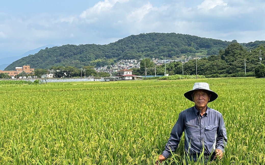 秦野のお米「さとじまん」10kg | 神奈川県産 秦野市 大地 10kg 10キロ 米 こめ コメ お米 白米 精米 お取り寄せ 贈答 人気 ランキング ごはん ご飯 贈り物 10キロ 風味 甘い 甘み ブランド米 人気米 1袋 ちょうどいい おいしい 美味しい 美味 ふっくら ツヤ 備蓄 災害対策 | 015-16
