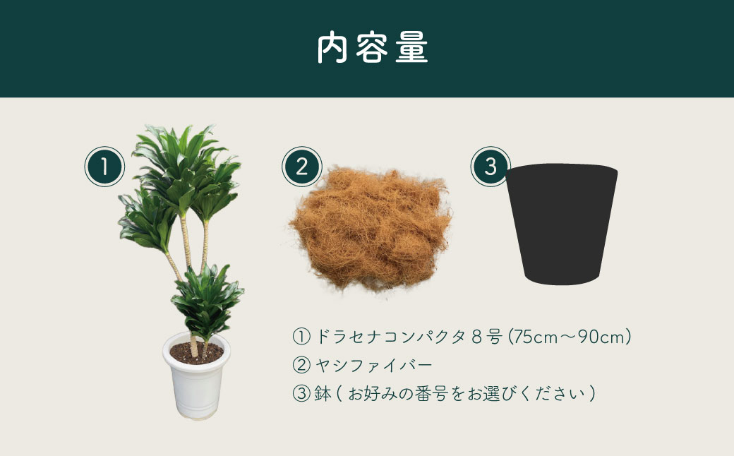 隕ウ闡画、咲黄 繝峨Λ繧サ繝翫さ繝ウ繝代け繧ソ8蜿キシ育エЗ75cmス90cmシ蛾欧繧ォ繝舌シ繧サ繝繝 / 遘ヲ驥 逾槫・亥キ 繧、繝ウ繝繝ェ繧「 繧ェ繧キ繝」繝ャ 螳、蜀 蜊怜嵜諢 驩「迚ゥ 蟶ク邱台ス取惠 鄒弱@縺繝輔か繝ォ繝 繧ョ繝輔ヨ 閧イ縺ヲ繧縺吶>