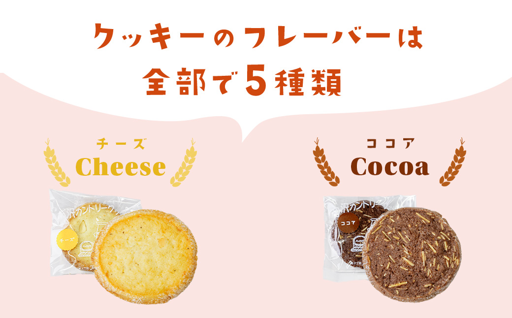 011-23-1丹沢カントリークッキー（20枚入）/ チーズ ココア チョコチップ クルミ アーモンド　各４枚 洋菓子 クッキー ５種類 お土産 ギフト 贈呈用 おやつ おかし 老舗 カントリー クッキー 20枚 お歳暮 母の日 敬老の日 秦野 神奈川
