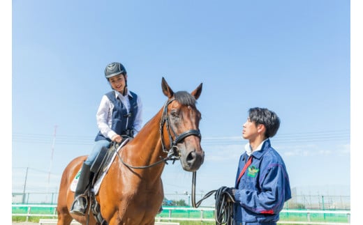 体験乗馬レッスン30分＋乗馬テキストプレゼント｜乗馬体験 馬 初心者 癒し ヒーリング アニマルセラピー 神奈川 秦野