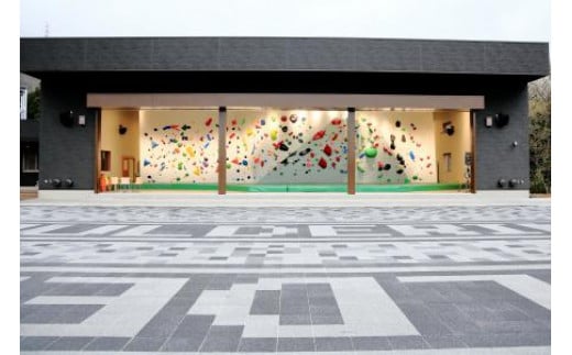 はだの丹沢クライミングパーク利用ペアチケット（2時間）｜クライミング ボルダリング 体験チケット 手ぶら リード スピード スポーツ 利用券 初心者 上級者 山岳スポーツ 登山 トレーニング 運動 神奈川 秦野 丹沢 表丹沢 009-29