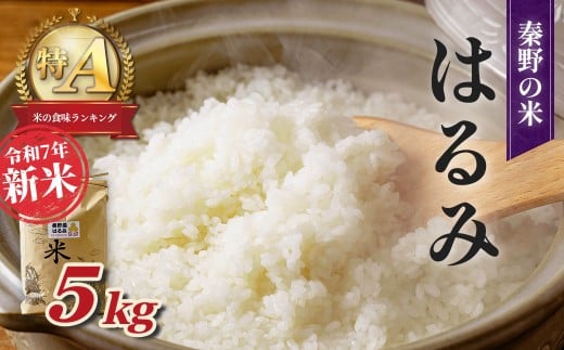【令和7年新米】秦野のお米「はるみ」5kg（10月～順次発送）| 神奈川県産 秦野市 大地 5kg 5キロ 米 こめ コメ お米 白米 精米 お取り寄せ 贈答 人気 ランキング ごはん ご飯 贈り物 5キロ 風味 甘い 甘み ブランド米 人気米 新米 1袋 ちょうどいい おいしい 美味しい 美味 ふっくら ツヤ 備蓄 災害対策 | 009-13