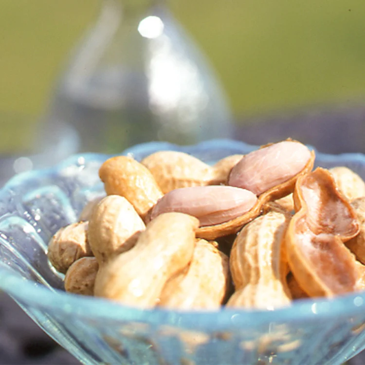 ゆでピー約240g×3袋／秦野名産 落花生 縁起豆 ゆで ピーナッツ 神奈川 冷凍 おつまみ おやつ お土産 家族 セット お酒のお供 冷凍