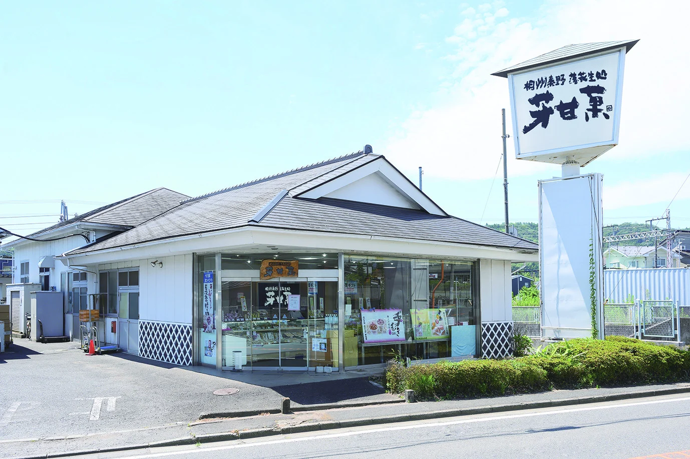 ゆでピー約240g×3袋／秦野名産 落花生 縁起豆 ゆで ピーナッツ 神奈川 冷凍 おつまみ おやつ お土産 家族 セット お酒のお供 冷凍