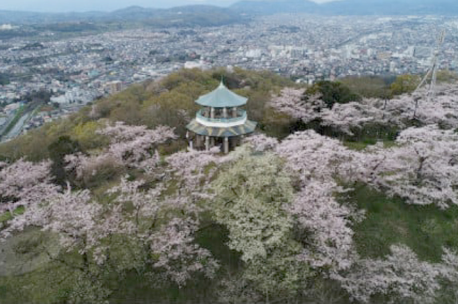 指定なし（秦野市のために）