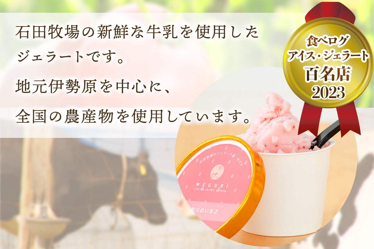 [定期便／3ヶ月連続] 石田牧場のジェラート屋めぐり おまかせ ジェラート 計36個 (12個×3回)｜石田牧場 ジェラート 伊勢原 贅沢素材 アイス アイスクリーム スイーツ ギフト 詰め合わせ 贈り物 プレゼント 人気 お取り寄せ [1240]