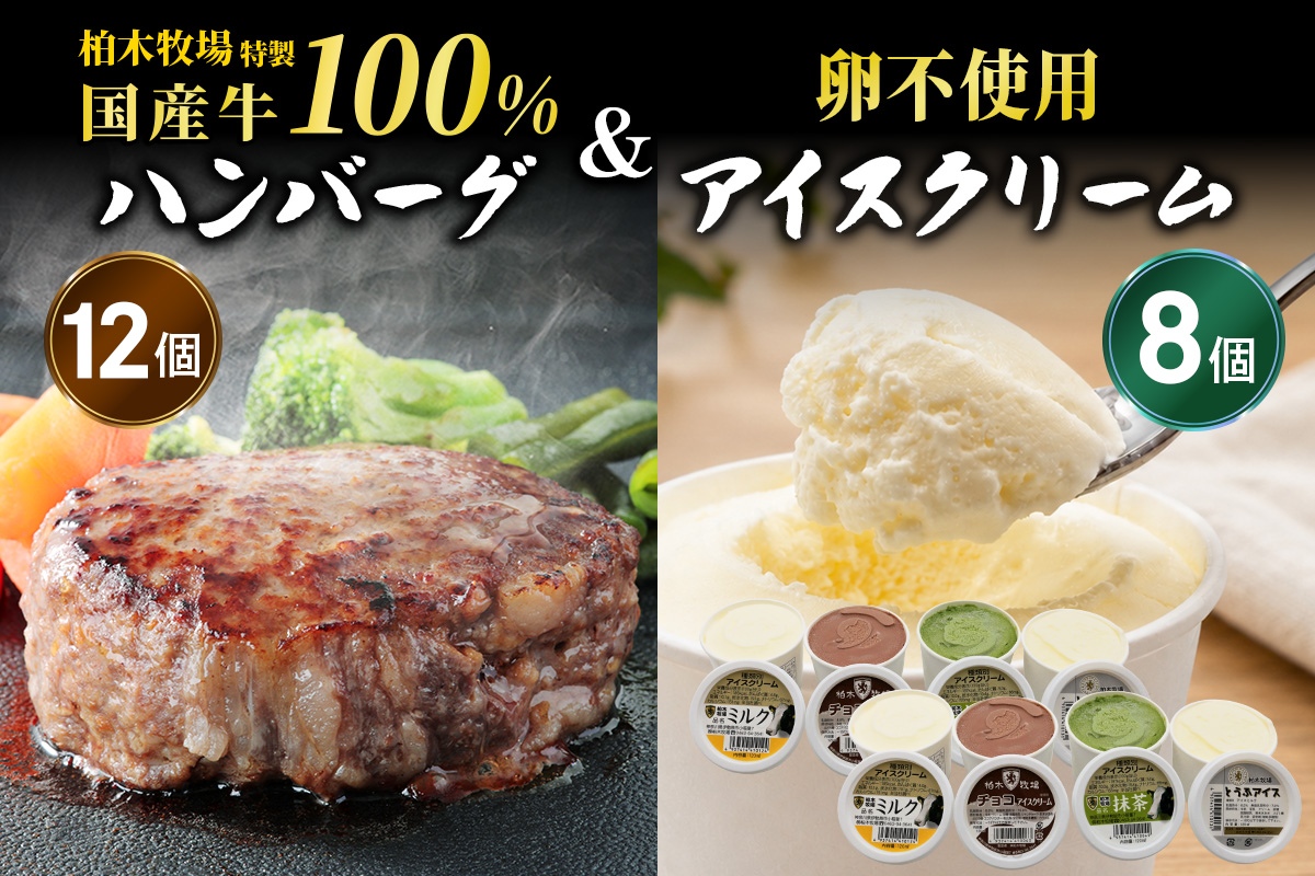 [柏木牧場]国産牛100%ハンバーグ 12個&卵不使用 アイスクリーム 8個セット|牛肉 牛 ハンバーグ アイス アイスクリーム [1383]