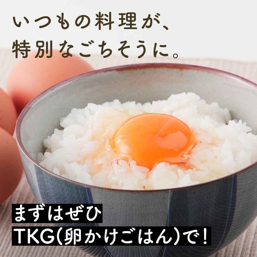 [定期便／1ヶ月×月2回] さかもとのたまご 40個 (36個＋割れ保証4個) 合計80個｜坂本養鶏 大山の麓で育ったさかもとのたまご 赤玉卵 玉子 鶏卵 伊勢原市 赤玉卵 玉子 生卵 国産 TKG タマゴ 新鮮 大山 鶏 ギフト 安心 安全 親子丼 卵焼き 目玉焼き お菓子 [1338]
