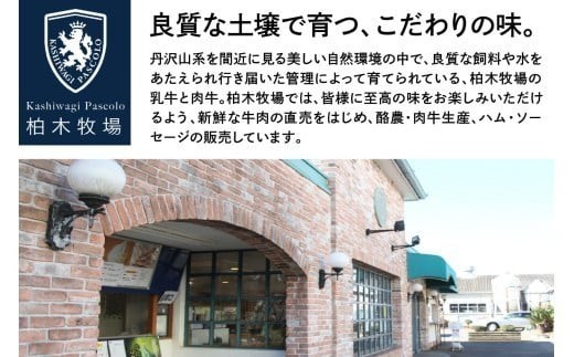 《柏木牧場》国産牛100%ハンバーグ 12個＆卵不使用 アイスクリーム 8個セット｜牛肉 牛 ハンバーグ アイス アイスクリーム  [1383]