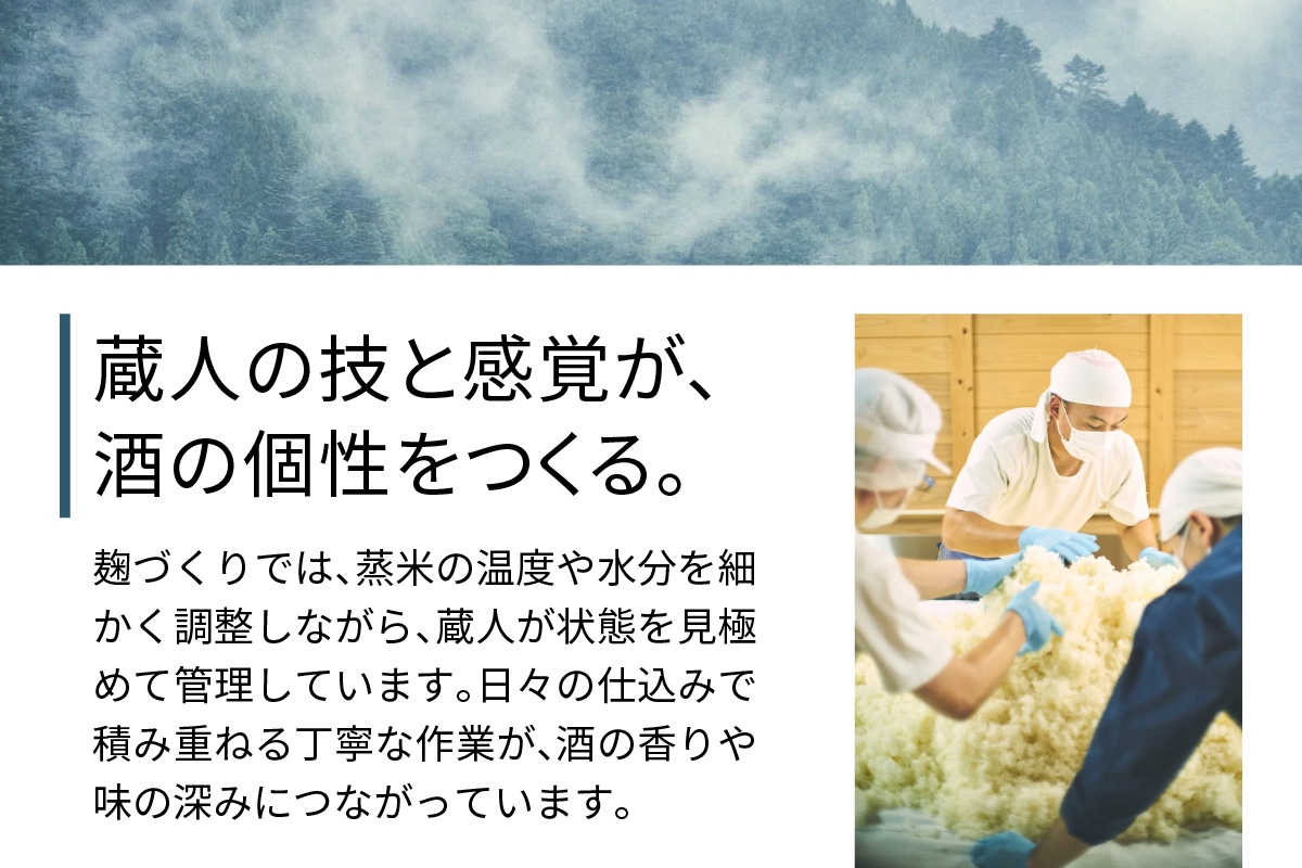 [定期便／3ヶ月 (全3回)] 丹沢大山 雨降///仕込み水 500ml 計72本 (毎月1箱 24本セット×3回)｜硬水 ミネラルウォーター 雨降山 あふり 大山阿夫利神社 [0863]