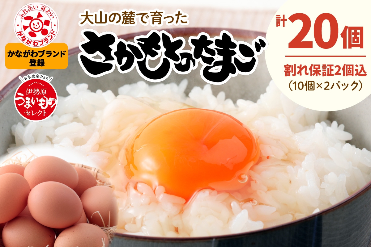 坂本養鶏 大山の麓で育った さかもとのたまご 20個 (18個＋割れ保証2個)｜伊勢原市 赤玉卵 玉子 鶏卵 生卵 国産 TKG タマゴ 新鮮 大山 鶏 ギフト 安心 安全 親子丼 卵焼き 目玉焼き お菓子 [1328]