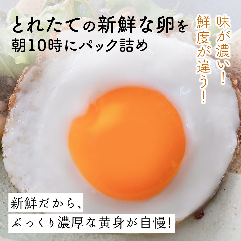 [定期便／6ヶ月×月1回] 坂本養鶏 大山の麓で育った さかもとのたまご 72個 (65個＋割れ保証7個) 合計432個｜伊勢原市 赤玉卵 玉子 鶏卵 生卵 国産 TKG タマゴ 新鮮 大山 鶏 ギフト 安心 安全 親子丼 卵焼き 目玉焼き お菓子 [1303]