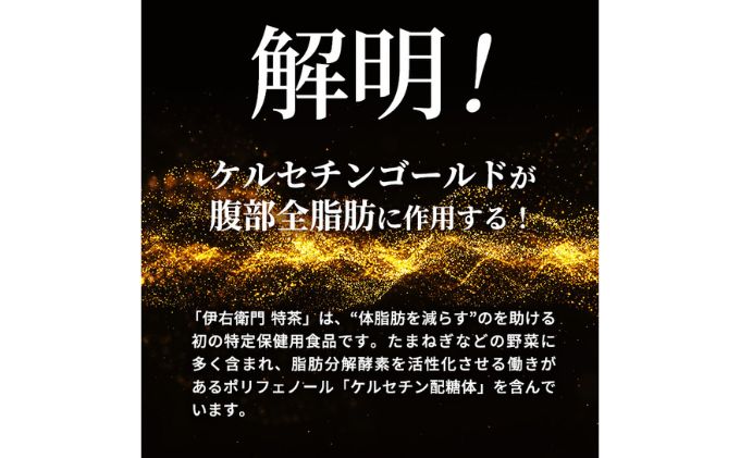 お茶 定期便 2ヶ月 伊右衛門 特茶 500ml × 24本 サントリー 緑茶 ドリンク 定期 2回