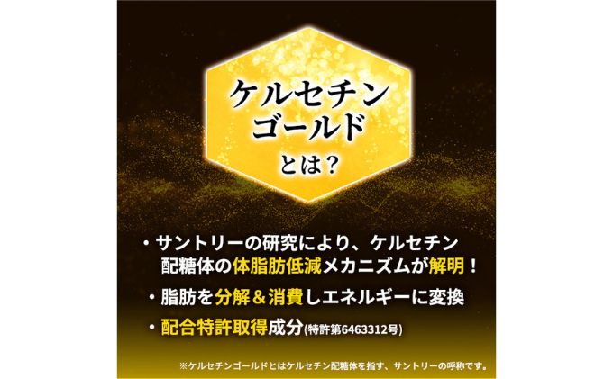 お茶 定期便 2ヶ月 伊右衛門 特茶 500ml × 24本 サントリー 緑茶 ドリンク 定期 2回