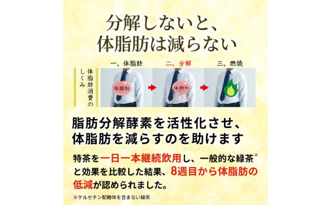 お茶 定期便 2ヶ月 伊右衛門 特茶 500ml × 24本 サントリー 緑茶 ドリンク 定期 2回