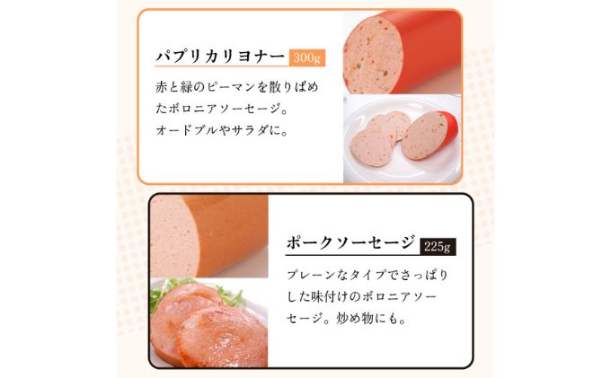 高座豚 ハム ソーセージ 4種 セット 詰め合わせ 手造り 加工肉 豚肉 豚 肉 お肉 ロースハム ウィンナー ウインナー 加工食品 加工品 ギフト 贈り物 プレゼント 神奈川 神奈川県 綾瀬市