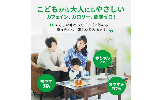 お茶 定期便 3ヶ月 GREEN DA・KA・RA やさしい麦茶 2L × 6本 麦茶 ドリンク 定期 3回